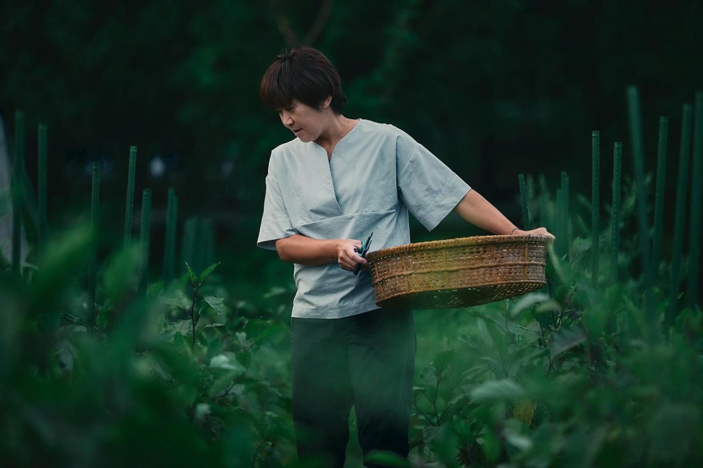 Lodge Yamajiu 하쿠바 외부 사진