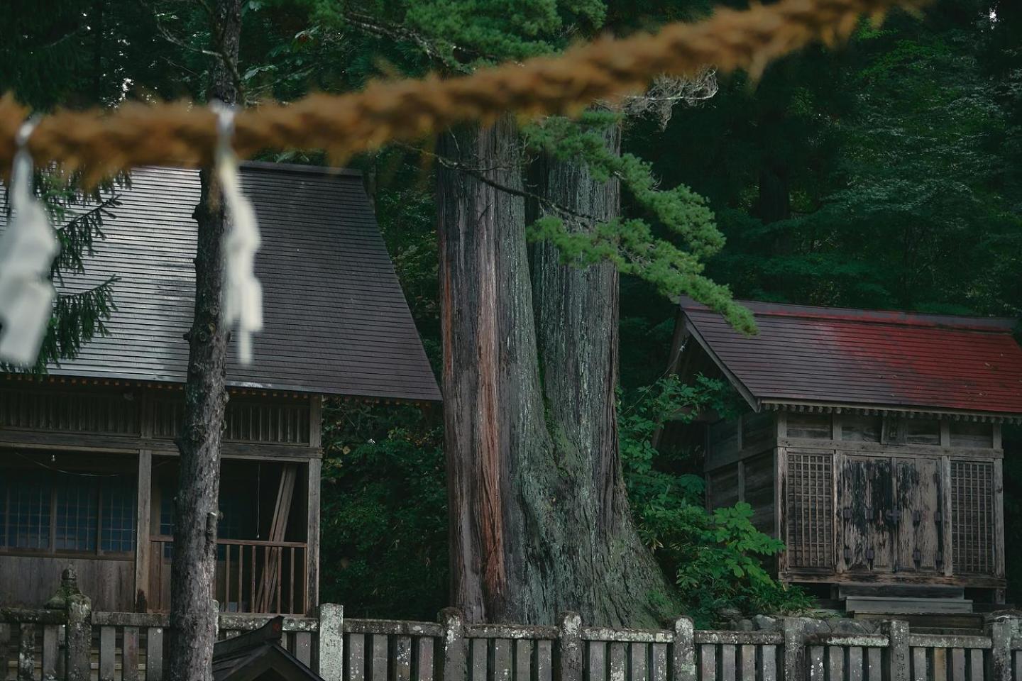 Lodge Yamajiu 하쿠바 외부 사진